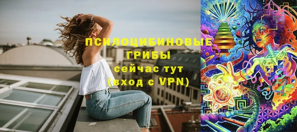 соль ск Балахна