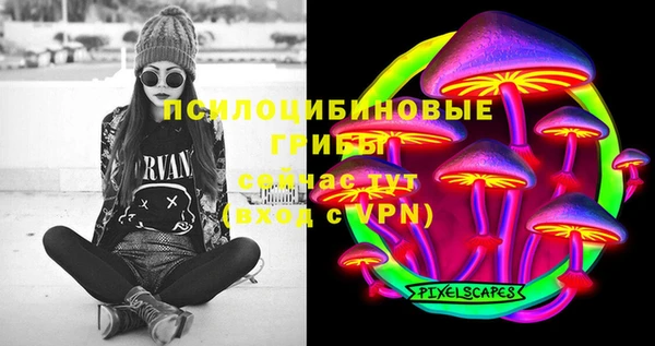 соль ск Балахна